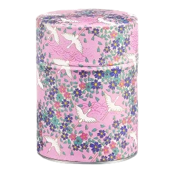 Boîte 100g - B2