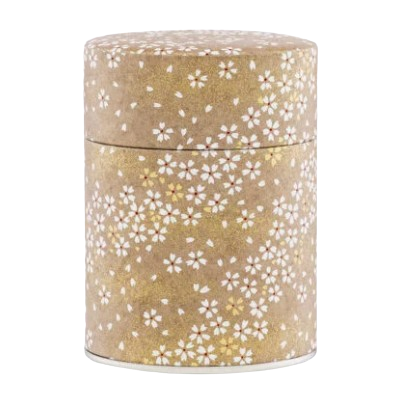 Boîte 100g - A6