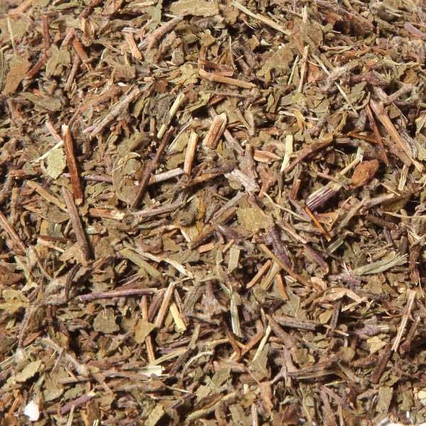 82259_414_82259-Tulsi Herb ORGANIC.jpg