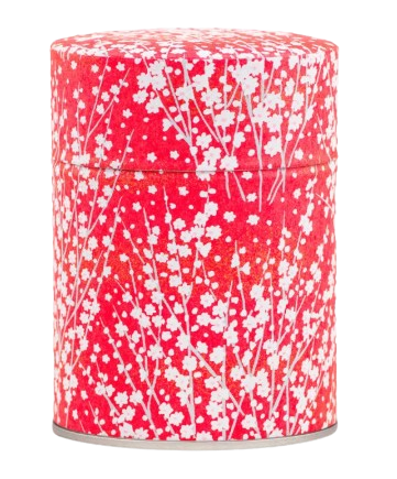 Boîte 100g - A4